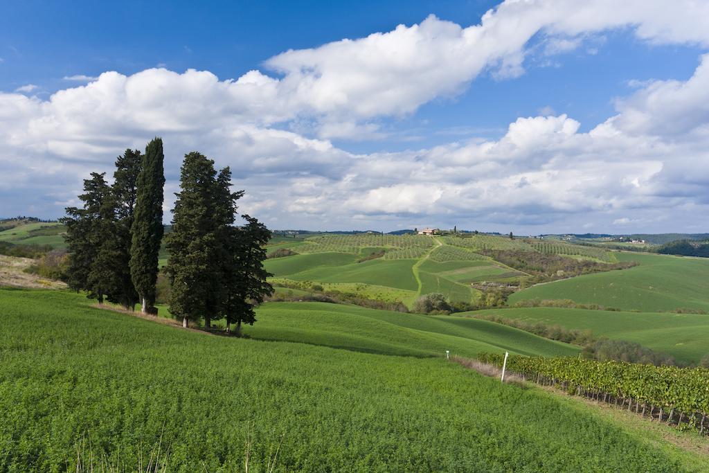 Farm stay Casale Dello Sparviero *