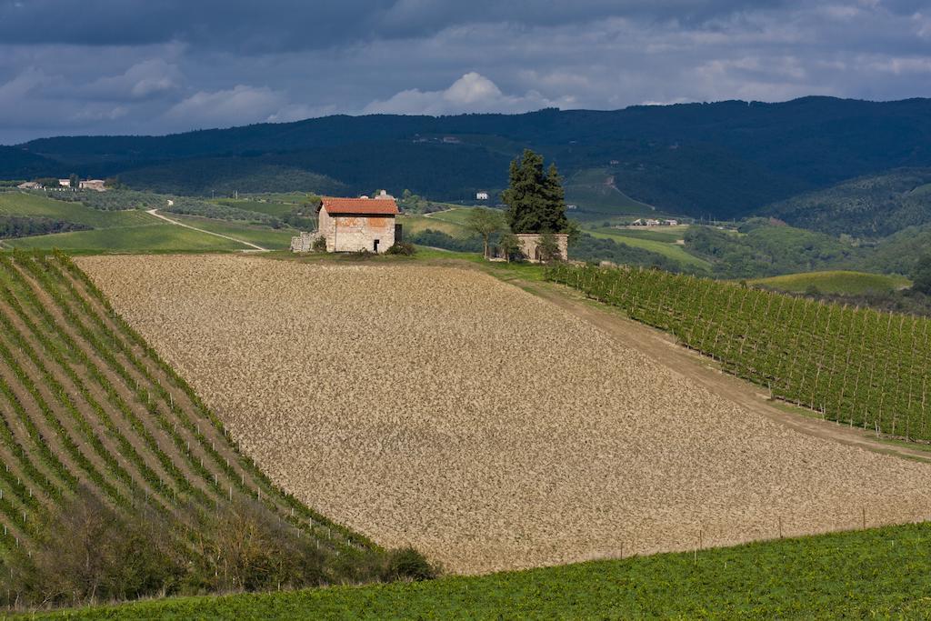 Agriturismo Casale Dello Sparviero