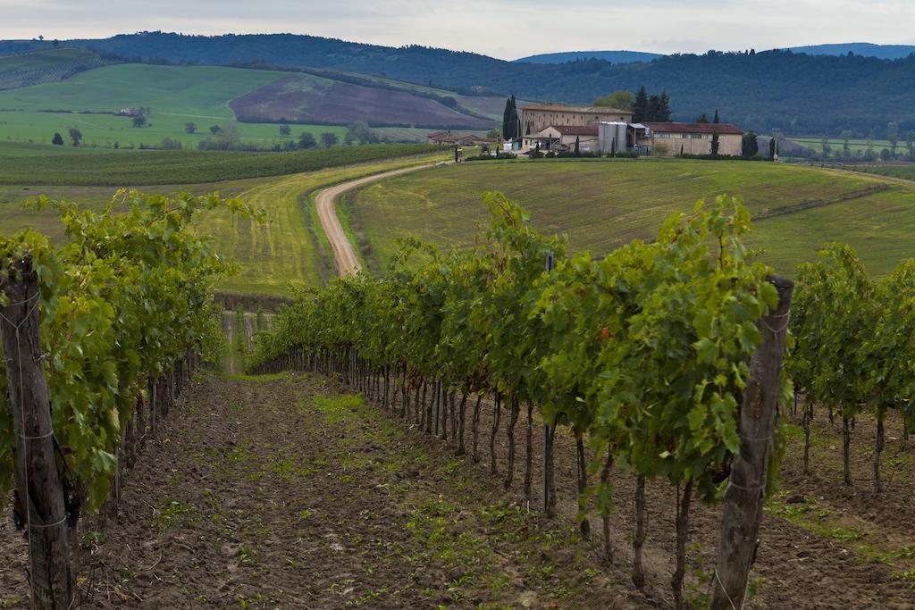 Casale Dello Sparviero