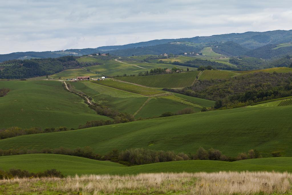 Farm stay Casale Dello Sparviero Castellina in Chianti